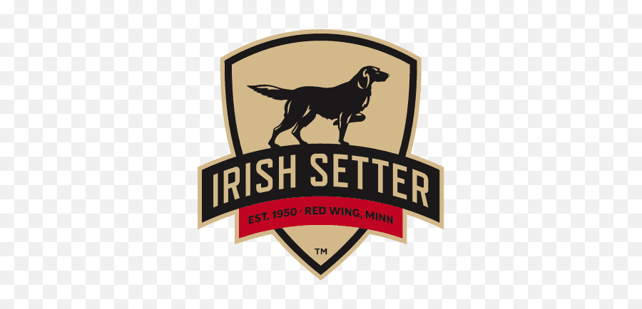 Irish Setter