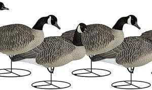 Dakota Decoy Signature Series Upright 6-Pack Goose Decoys