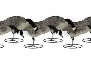 Dakota Decoy Signature Series Feeder 6-Pack Goose Decoys