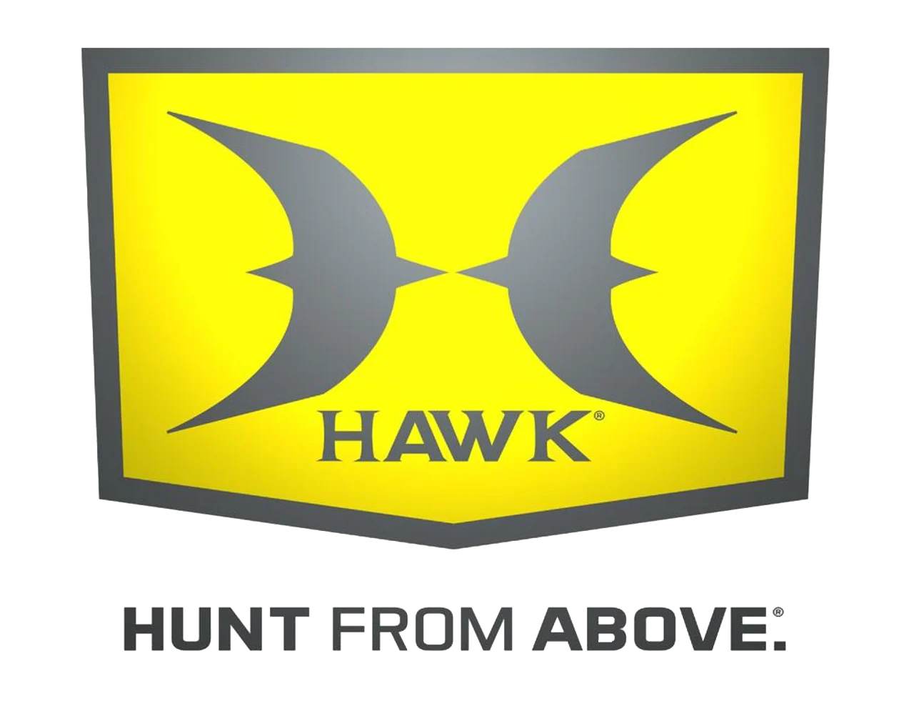 Hawk Hunting